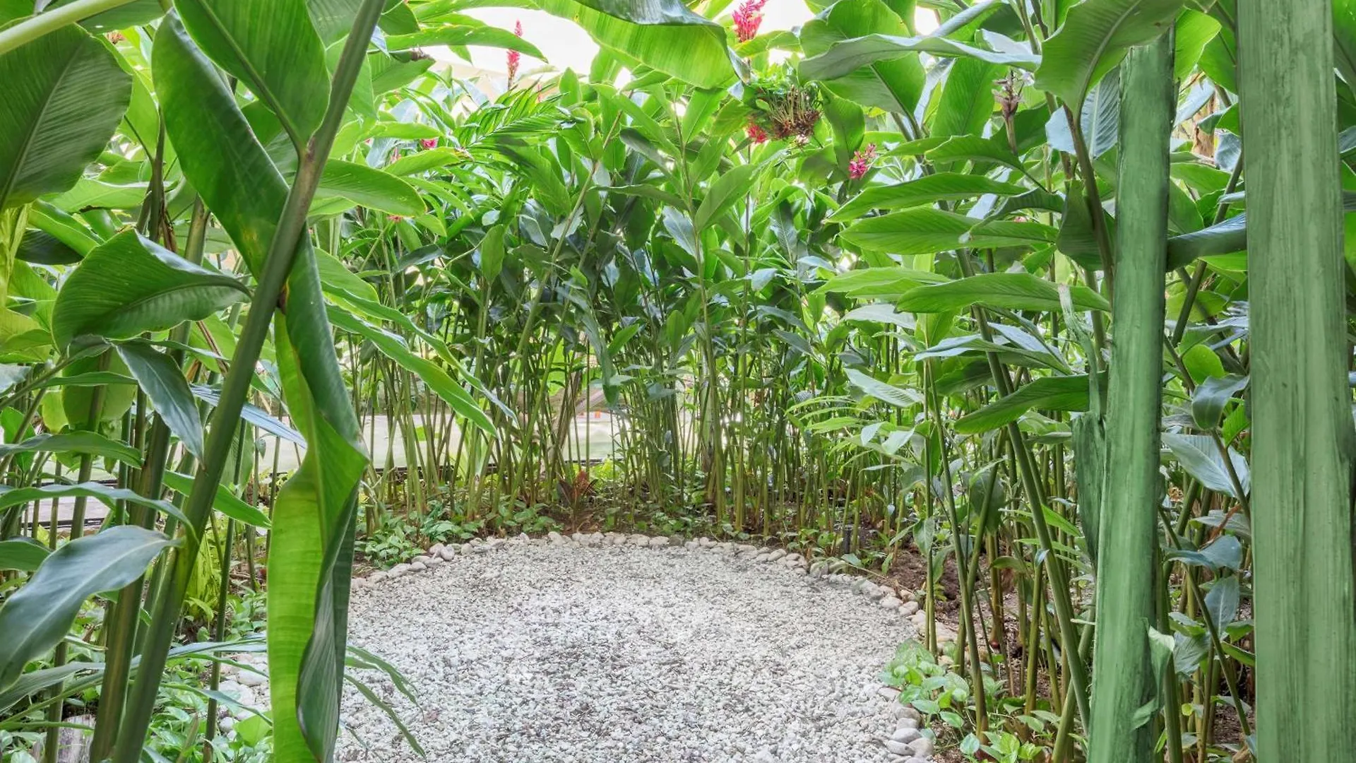 The Yucatan Playa Del Carmen, Tapestry Collection By Hilton (Adults Only) Hotel
